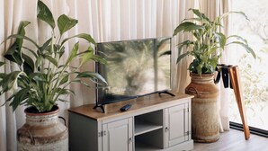 Huoneessa on puinen katto, televisio sijoitettu kaappiin, kaksi ruukkukasvia ja suuri ikkuna, jossa on verhot.