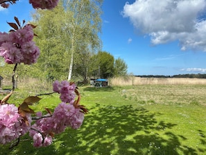 En gräsbevuxen åker med ett träd och en blå byggnad i bakgrunden.