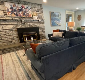 Smart TV, fireplace, books