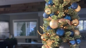 Un sapin de Noël décoré d’ornements et de guirlandes lumineuses.