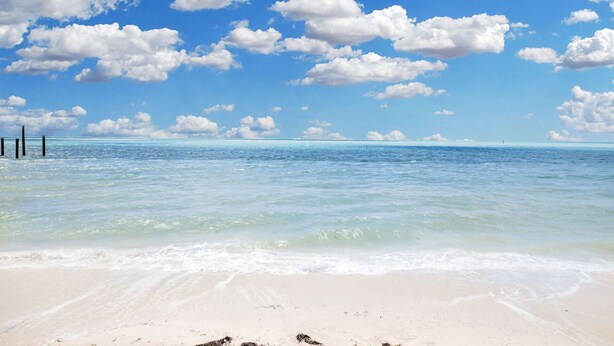 Una playa con agua azul cristalina, una orilla arenosa y un muelle de madera que se adentra en el mar.
