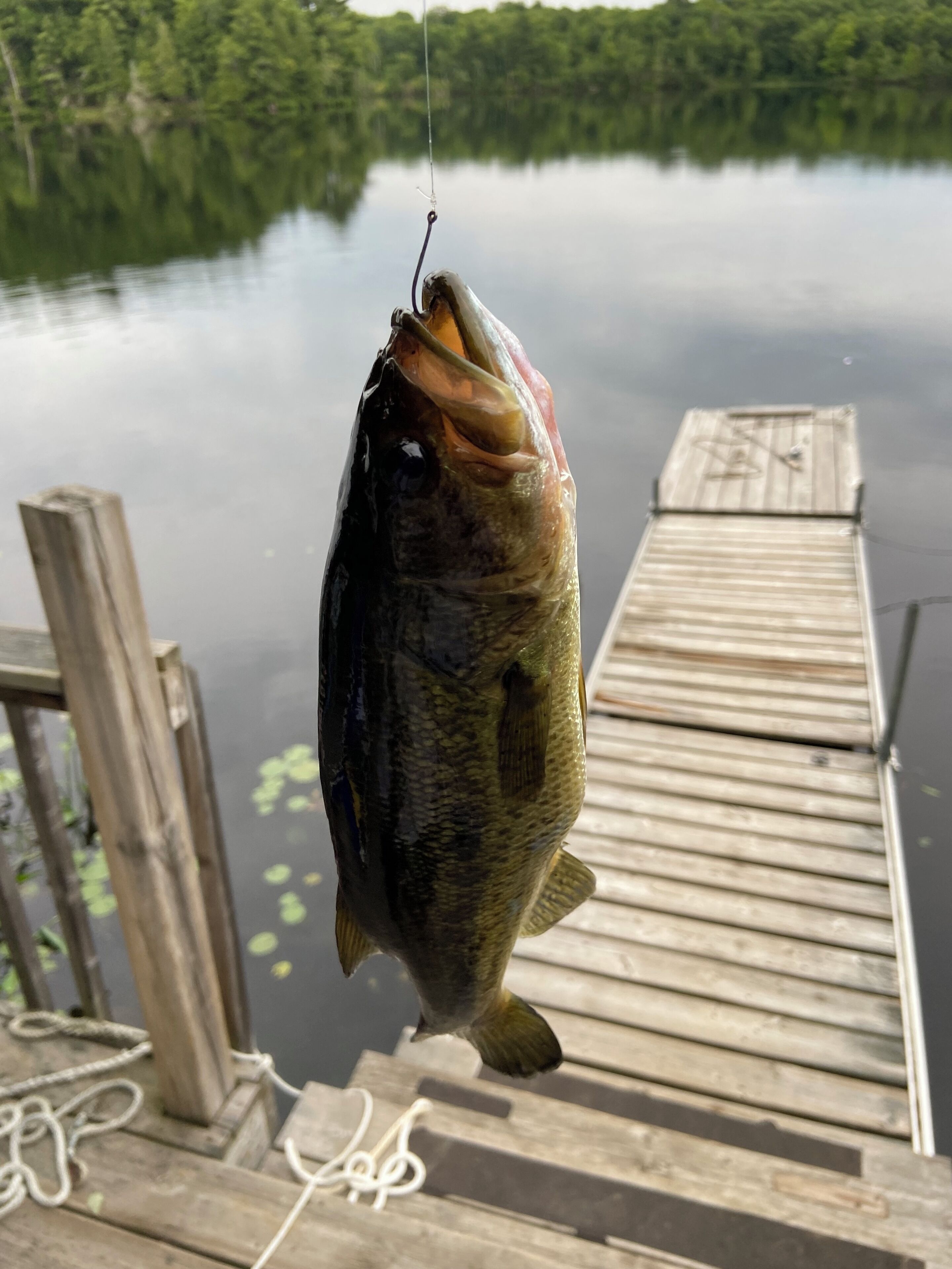 A wooden dock extending into a calm lake with a fish hanging from a hook.