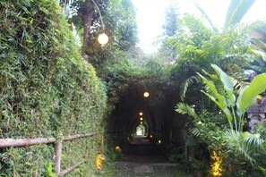 客房景观