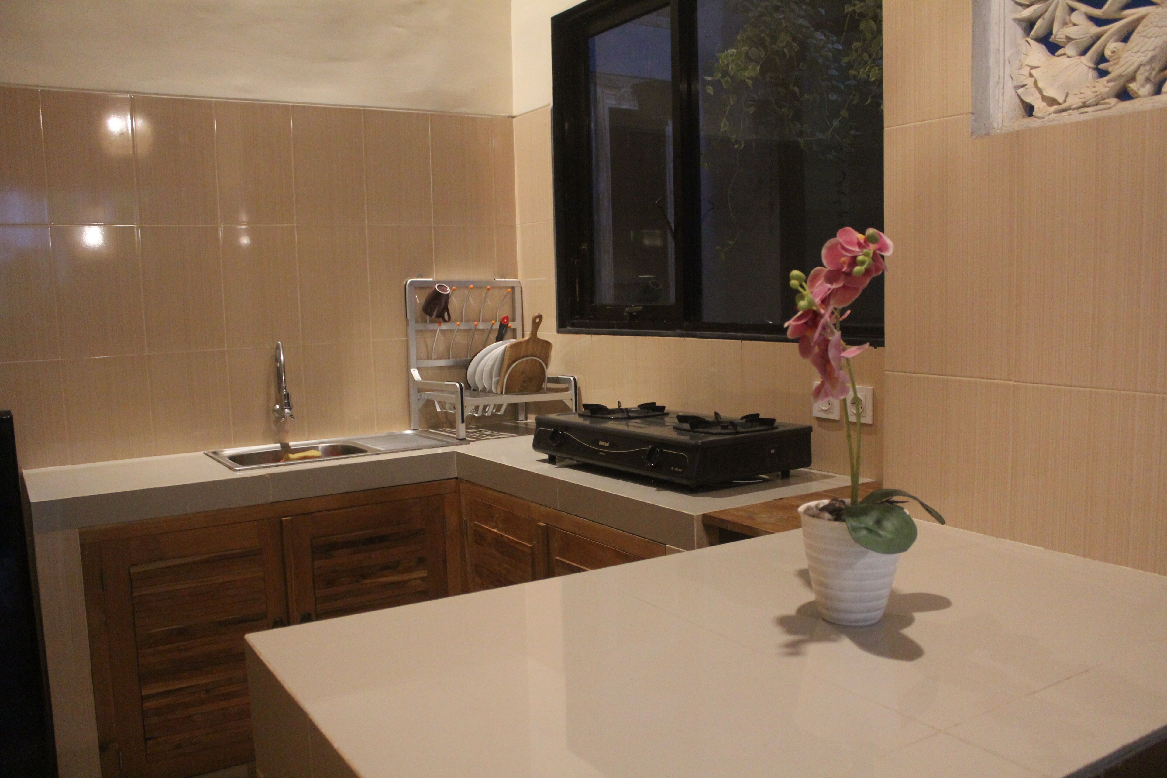 A kitchen with a sink, cabinets, a window, and a potted orchid on the counter.
