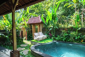 Private pool - Prayatna Villas (Sebatu)