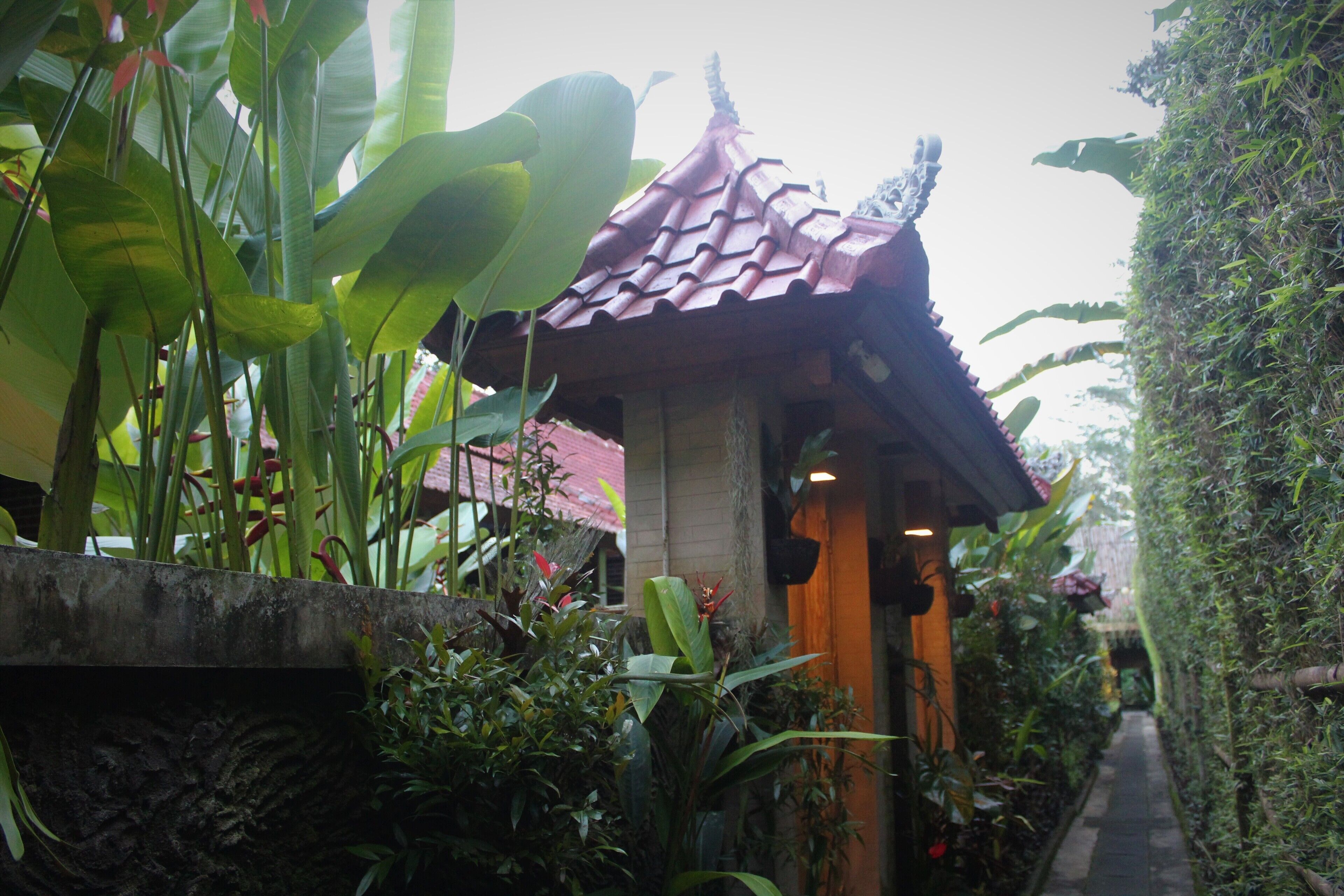 Um edifício tradicional com telhado de azulejos, rodeado por vegetação exuberante e plantas.