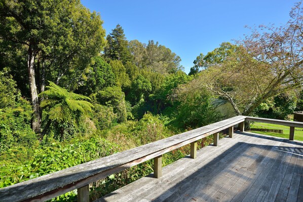A wooden deck with railings overlooking a lush, green forest. - Morere Cottage - Accommodation (Morere)