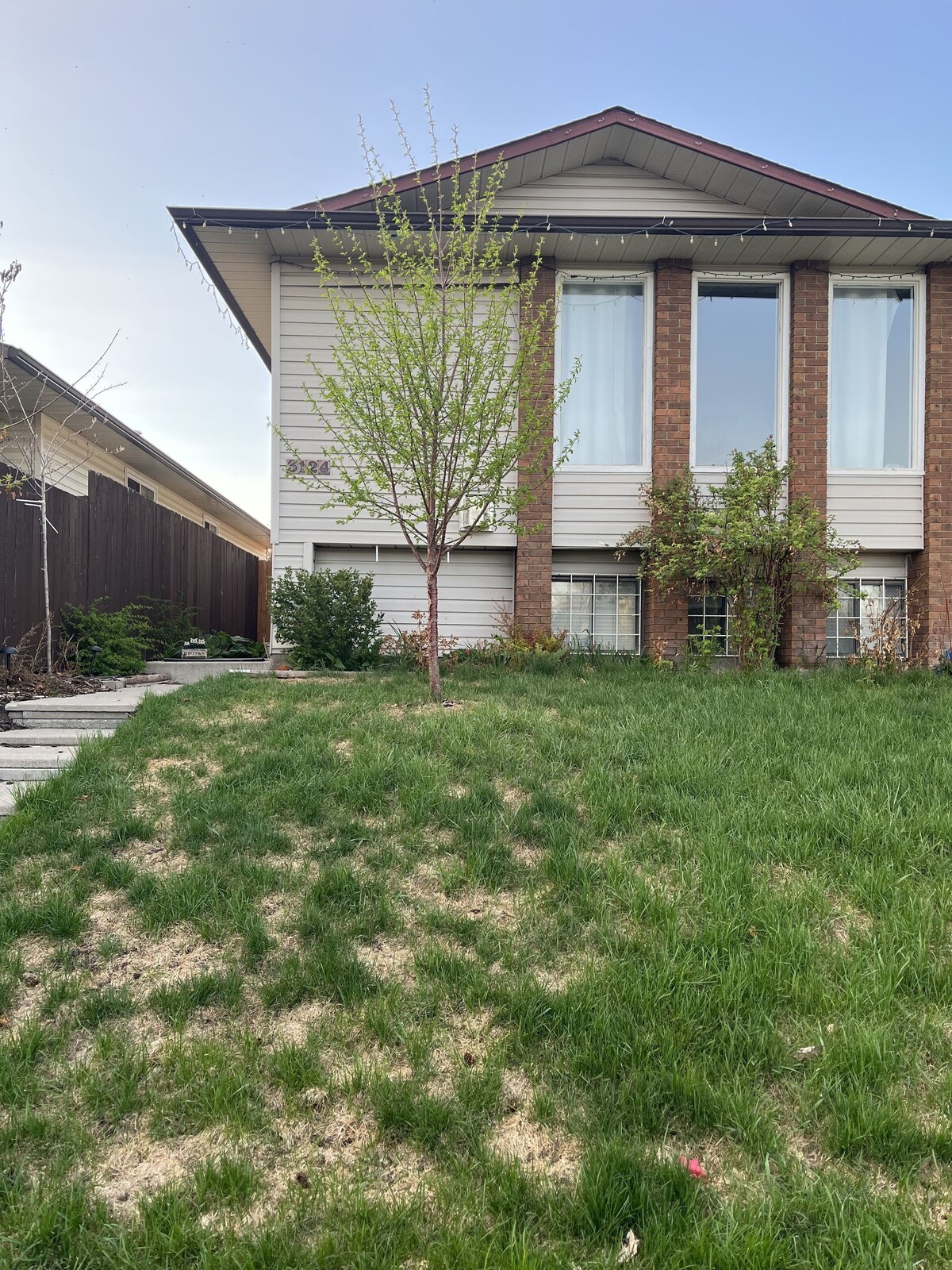 Imagen de perfil del propietario o de la propietaria