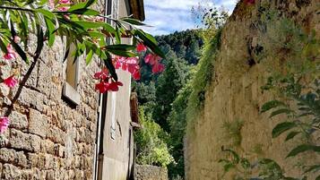 Área da propriedade