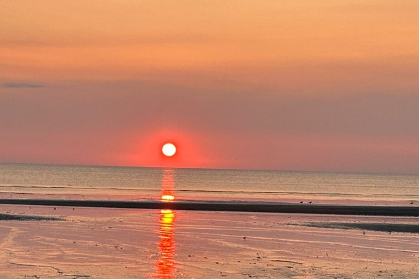 Ubicación a pie de playa, tumbonas y toallas de playa