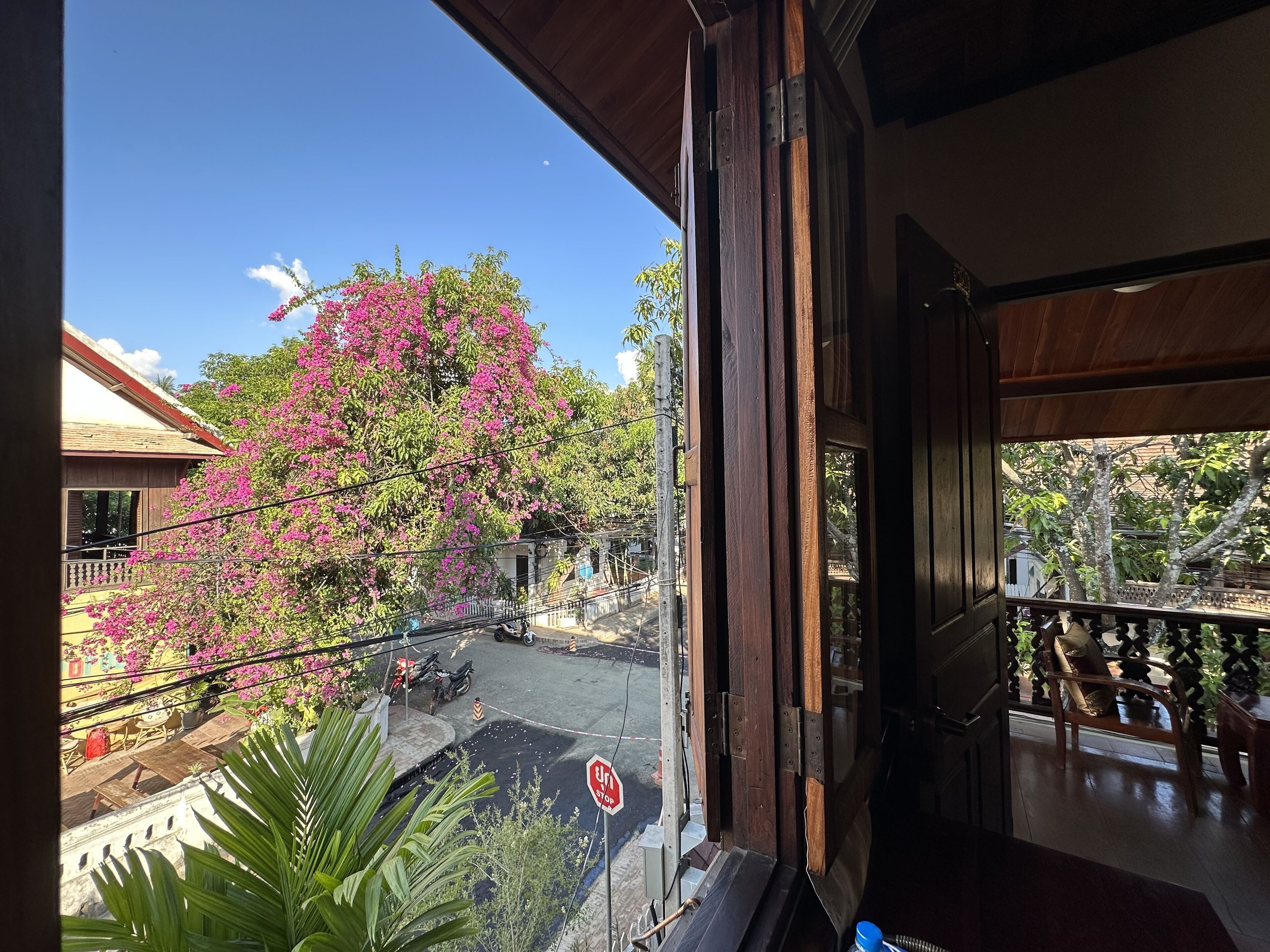 A view from a balcony with a stop sign, a pink flowering tree, and a clear blue sky.