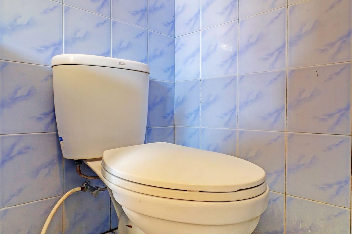 deluxe suite | bathroom | shower, bidet, toilet paper