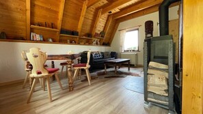 TV, fireplace, books