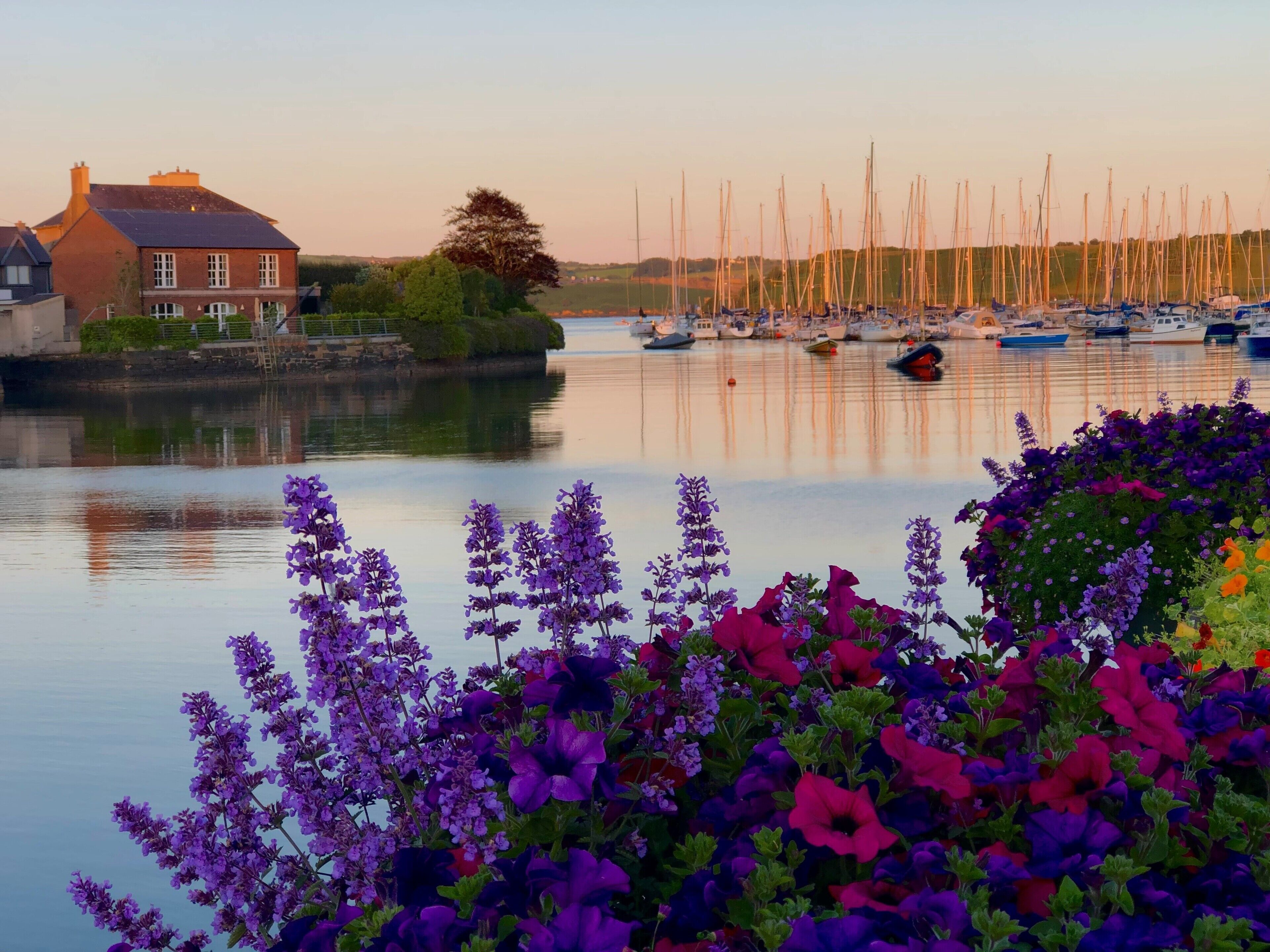 Blick auf einen Fluss mit Booten, einem Haus und einem Blumenbeet.