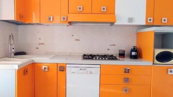 Grand réfrigérateur, micro-ondes, plaque de cuisson, lave-vaisselle