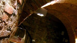 Winery - Hotel Mitra (Ptuj)