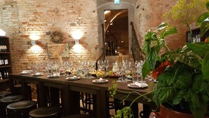 Winery - Hotel Mitra (Ptuj)