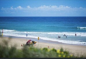 On the beach, sun-loungers, beach towels - Beachfront apartment (Marcoola)