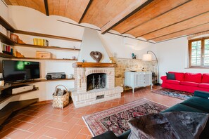 TV, fireplace, books