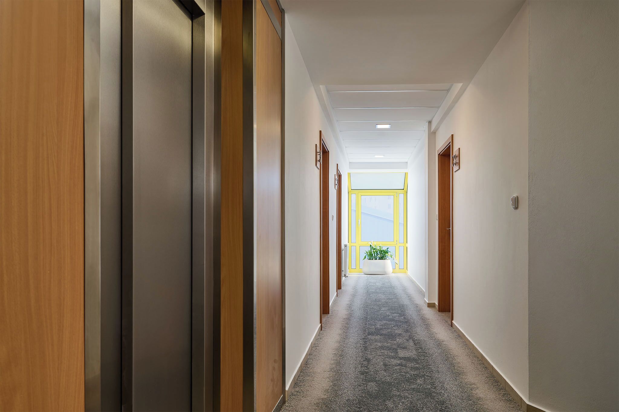Un pasillo con puertas de madera y suelo alfombrado, que conduce a una habitación luminosa con un amplio ventanal.