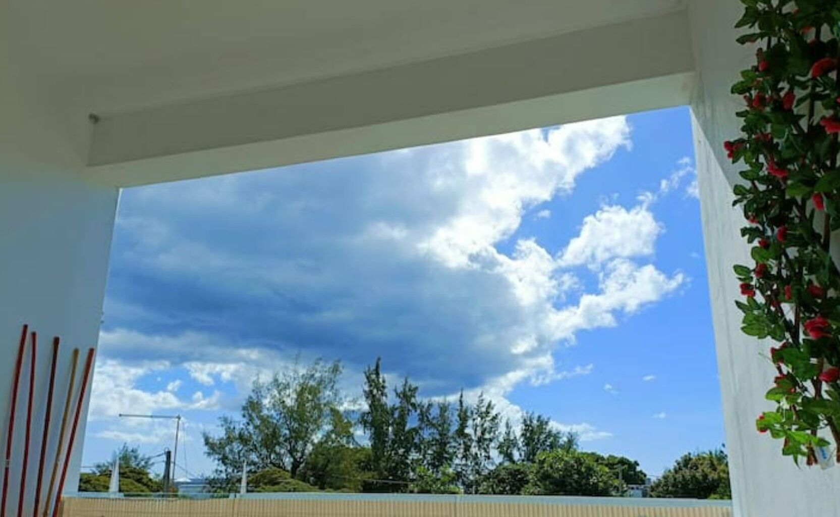 A room with a large window offering a view of trees and a partly cloudy sky.
