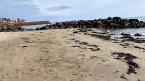 A sandy beach with a rocky breakwater and a building in the background.