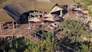 Une série de tentes dotées de terrasses attenantes, entourées de verdure.