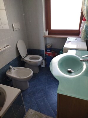 Douche, séchoir à cheveux, papier de toilette
