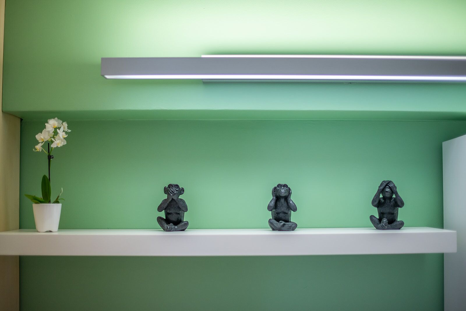 A shelf with three black statues and a white orchid in a white pot against a green wall.