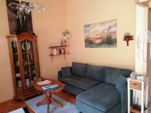 Televisión, chimenea, reproductor de DVD y libros 