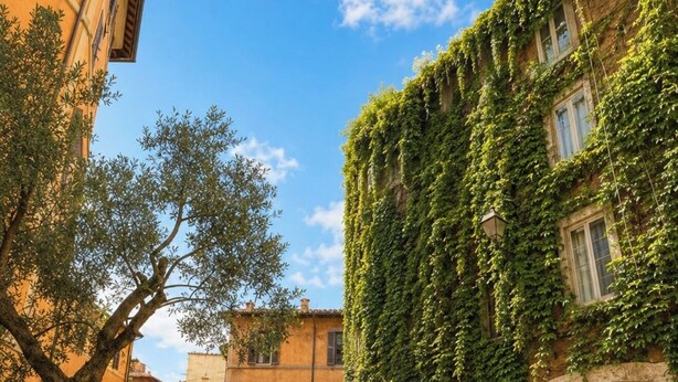 A cobblestone street with buildings, chain-link fence, and potted plants. - Trastevere Center, just a short walk from Piazza Trilussa (Roma)