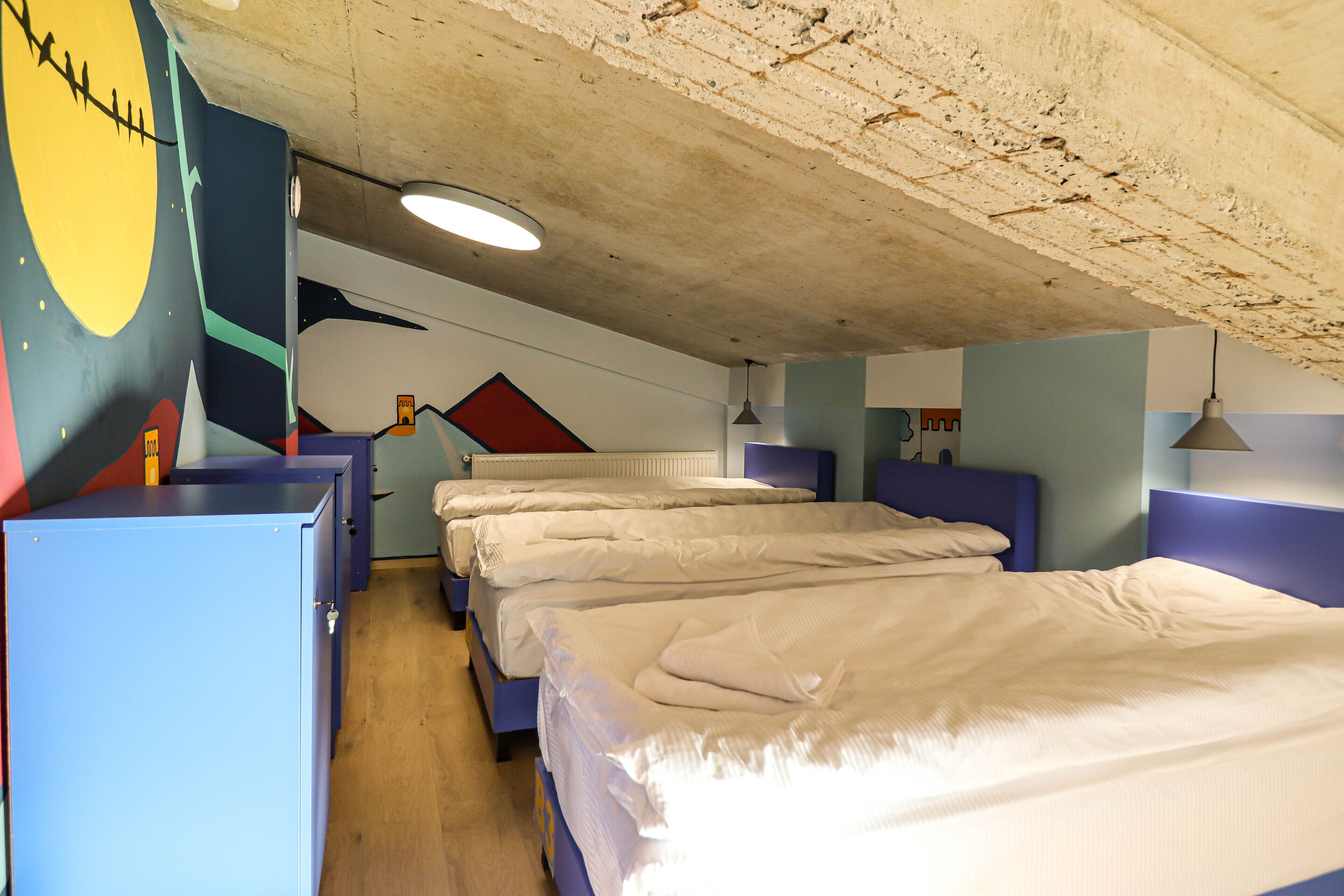 Basic Shared Dormitory, Multiple Beds, Non Smoking, Mountain View | Hypo-allergenic bedding, free WiFi