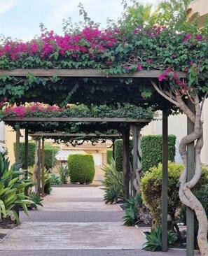A covered walkway with a pergola, surrounded by lush greenery and flowering plants.