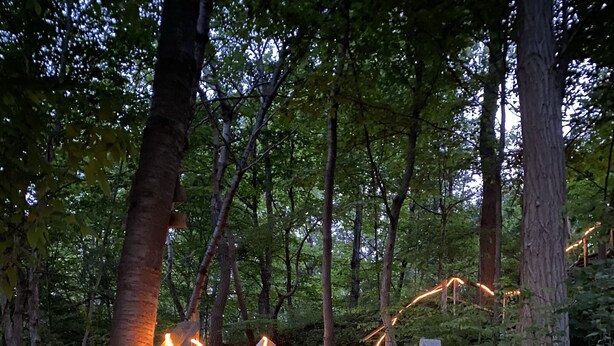 Eine Holztreppe in einem Wald, entlang der Seiten mit Lichterketten beleuchtet.