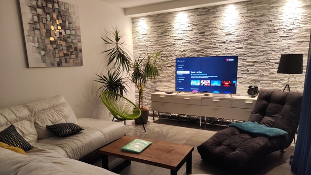 En moderne stue med sofa, sofabord, tv på en stenvæg og en potteplante.