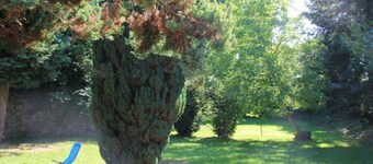 Cheerful 4 bedroom residential holiday let!