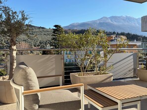 Balcón con vista a una montaña, una planta en maceta y muebles de exterior.