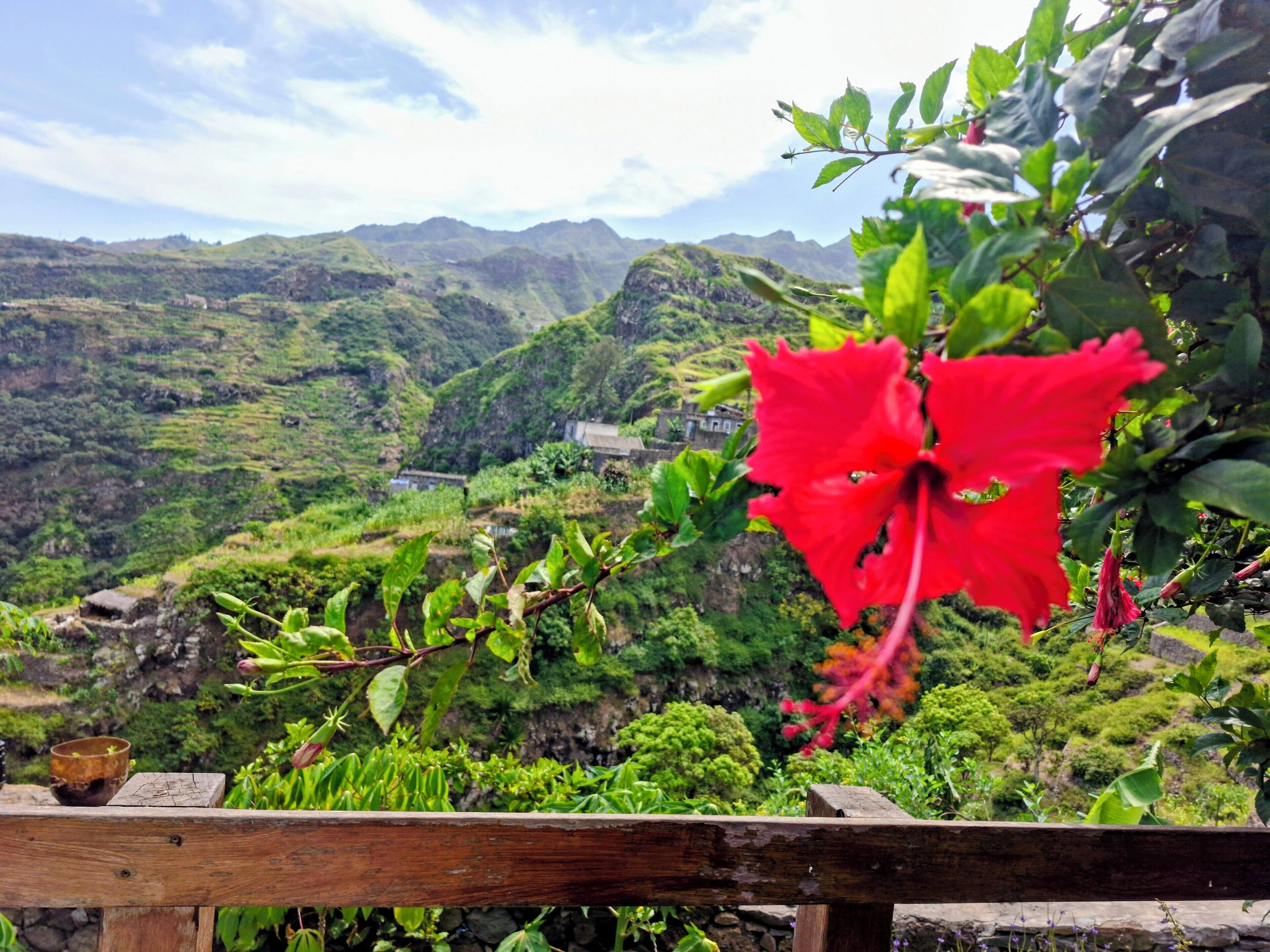 A wooden railing with a red flower in the foreground, a lush green landscape with terraced fields, and distant mountains under a partly cloudy sky.
