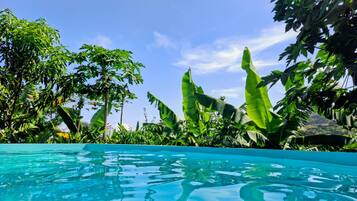Vista clara de uma piscina cercada por vegetação tropical exuberante.