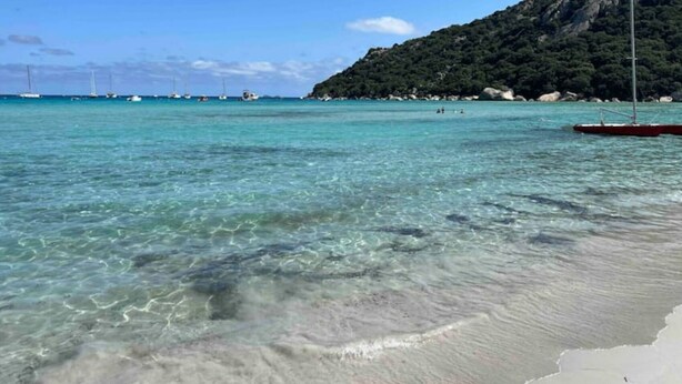 Ein Strand mit klarem türkisblauem Wasser, Booten und einer bergigen Kulisse.