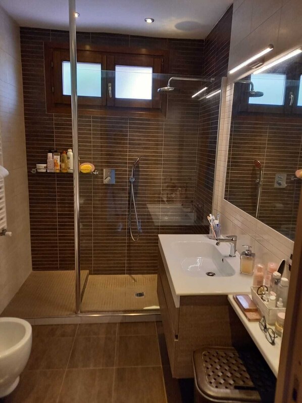 Regadera, secadora de cabello, bidet, toallas 