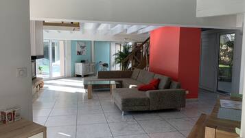 Smart TV, fireplace, books