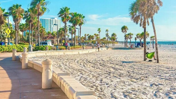 A beach with a concrete walkway, palm trees, and a clear blue sky.