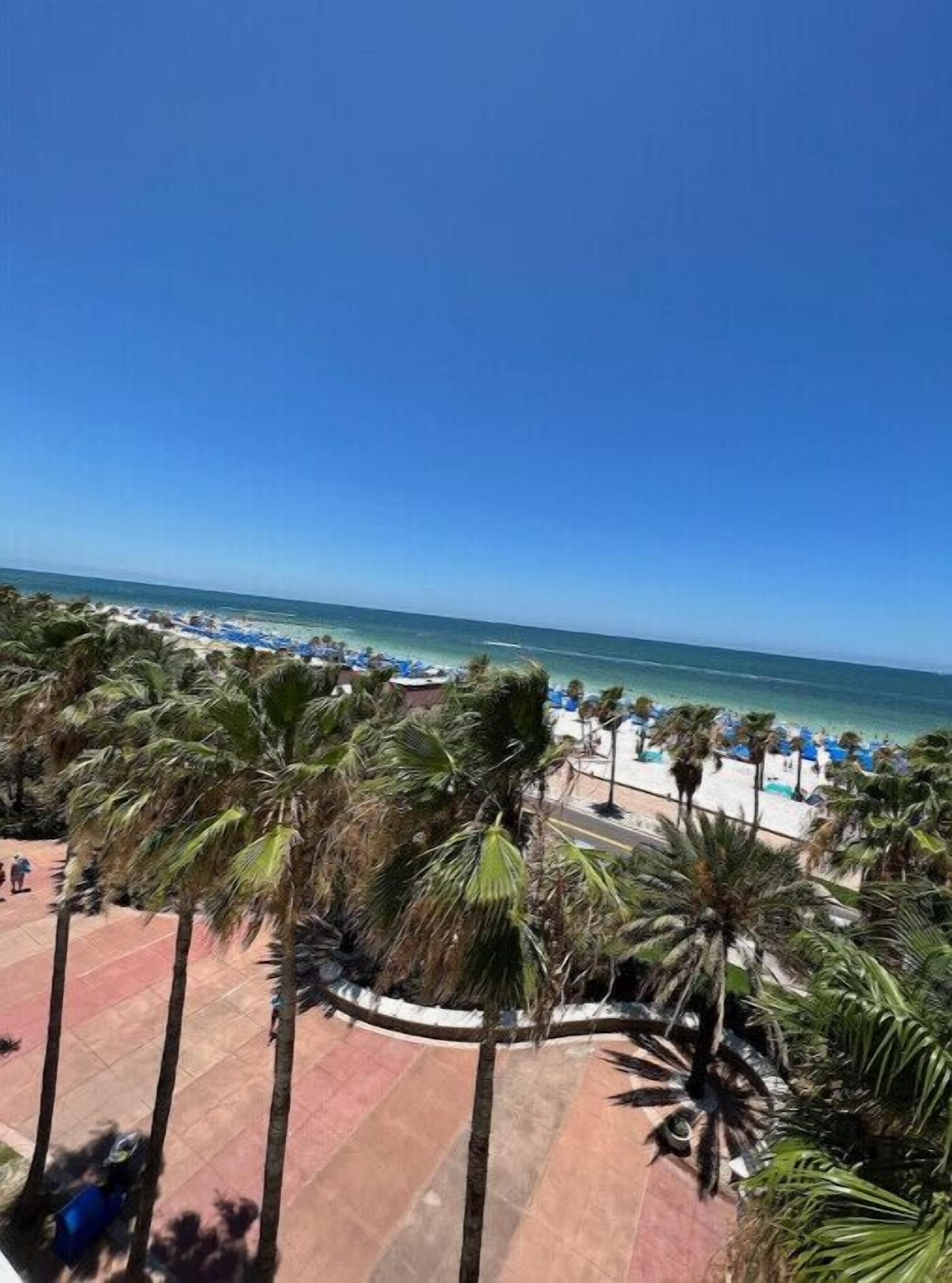 A beach with palm trees and a clear blue sky.