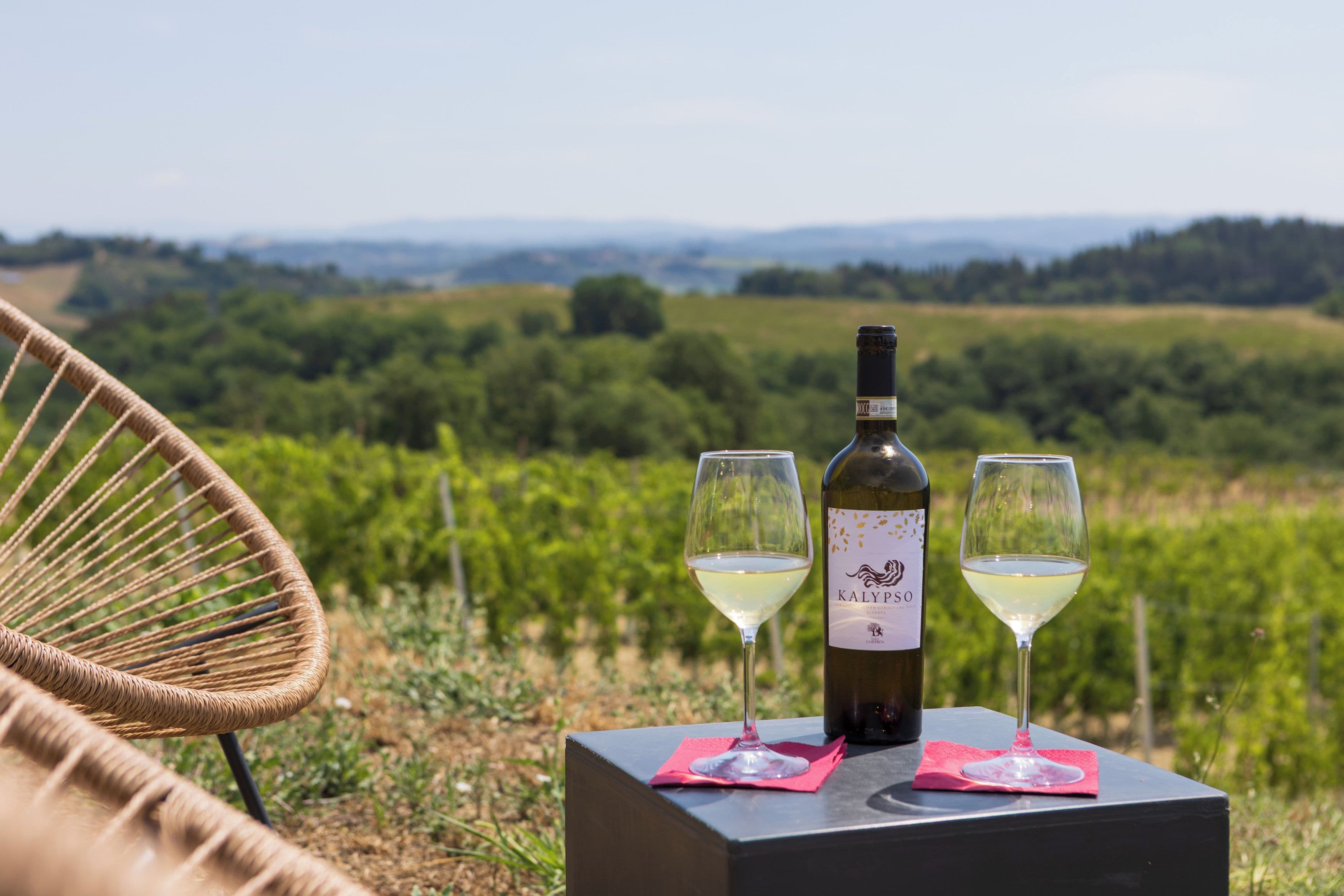 Una botella de vino y dos copas sobre una mesa, con vistas a un viñedo al fondo.