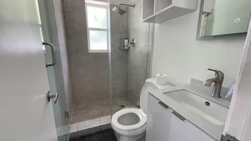 A modern bathroom with a glass shower enclosure, a toilet, and a sink with a mirror above.