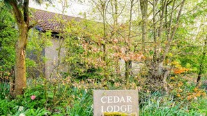 A sign reading "CEDAR LODGE" in a lush garden with trees and plants. - Perfect wooden lodge for golfers & families, close to St. Andrews (New Gilston)