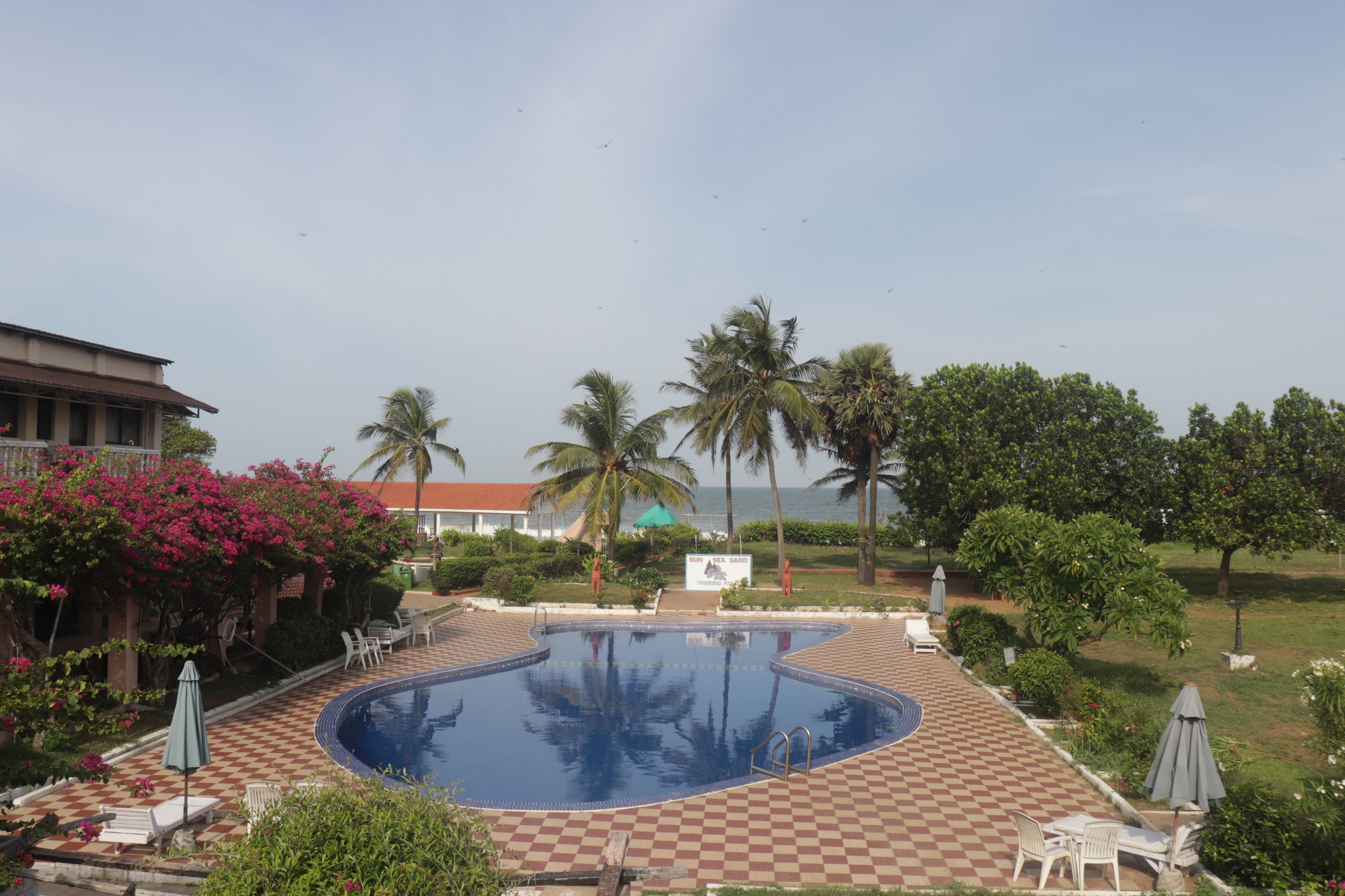 A swimming pool with checkered tiles, surrounded by lounge chairs and umbrellas, palm trees, and a building in the background.