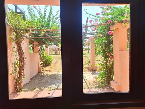 Balcony view