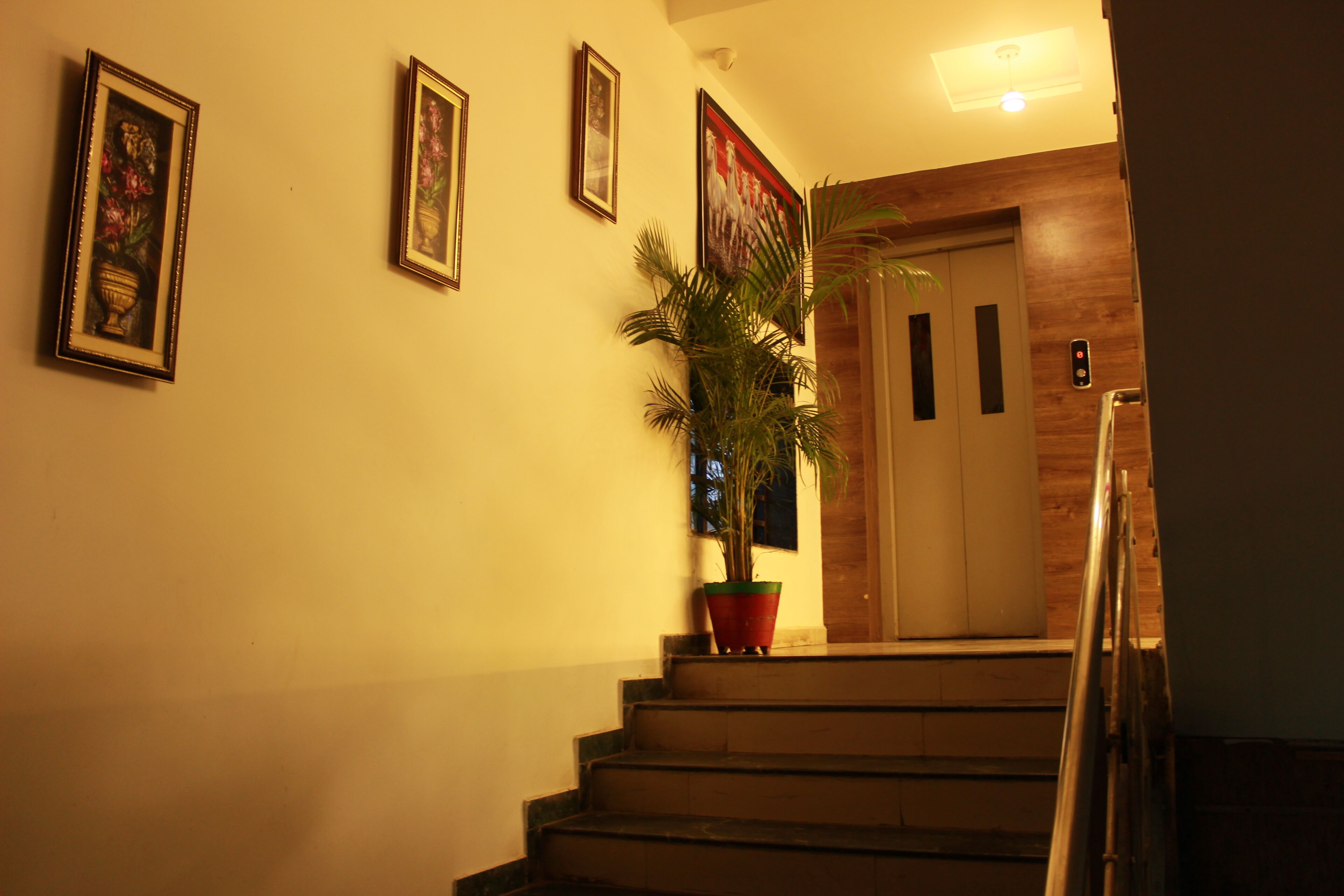 Una escalera con una planta en maceta, una puerta de madera y cuadros en la pared.